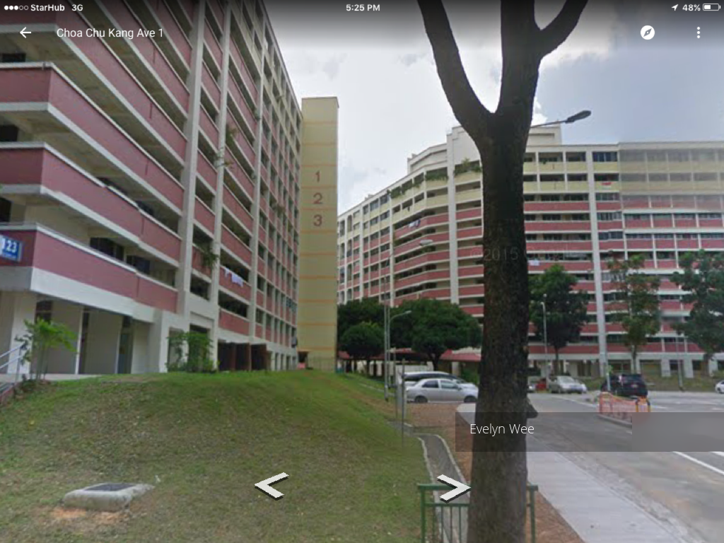 Blk 123 Teck Whye Lane (Choa Chu Kang), HDB 5 Rooms #106255772